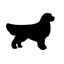 Golden Retriever Sticker | Vinyl Decal Sticker