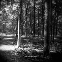 Nature Trail, Holga BW