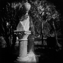 Head Stone, Holga BW