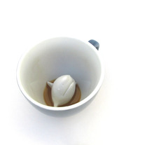 Shark_medium