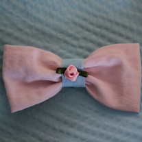 Rose_medium