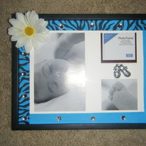 Blue zebra daisy and gem photo frame