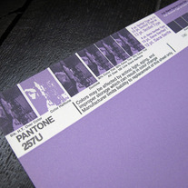 Vintage PANTONE® Poster - 257U