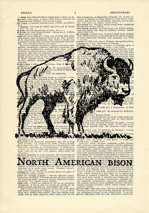 american bison research paper The dramatic near extinction, and subsequent recovery and restoration, of the american bison during the late nineteenth century is examined using a property rights. american bison research paper The dramatic near extinction, and subsequent recovery and restoration, of the american bison during the late nineteenth century is examined using a property rights.
