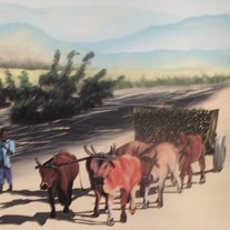 Oxen Painting 20 x 24