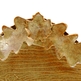 Storenvy_20pottery_20-_20_64__small