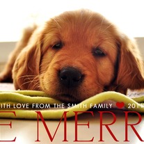 Doggiecard_medium
