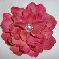 100_1152_medium