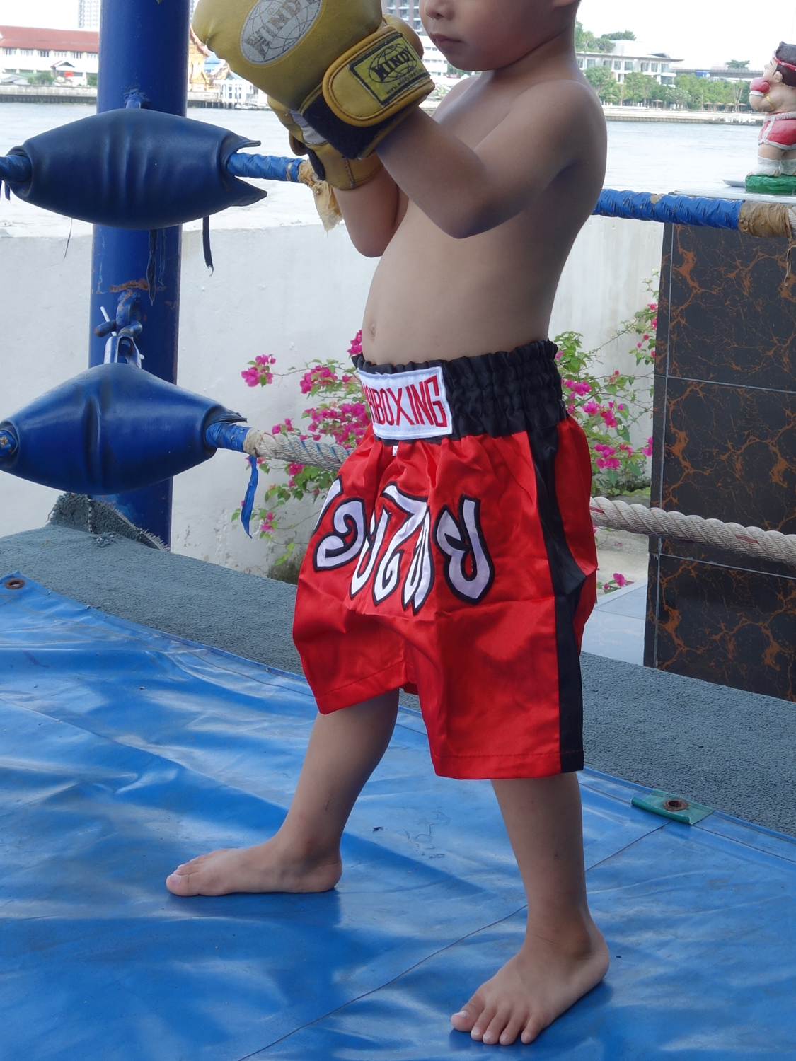 Boxing Shorts Satin for Kid