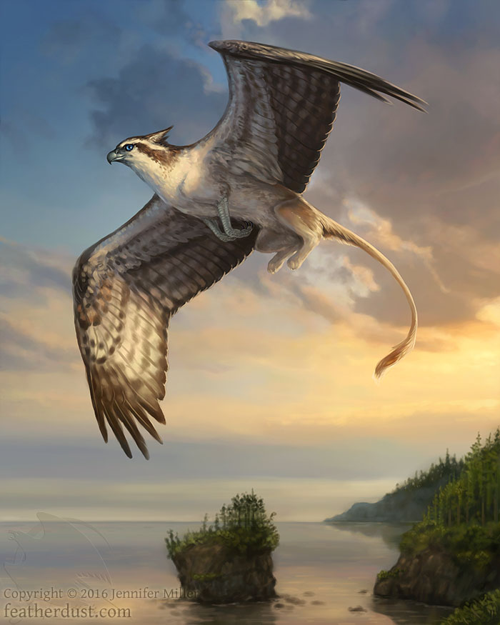 osprey_20gryphon_20web_original.jpg