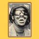 Steviewonder_mock-up_thumb_small