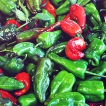 Peppers_20small_medium