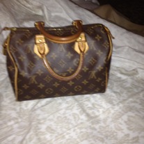 Louis Vuitton Speedy Bag (Size 25)