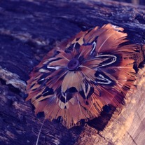 Round feather hair clip