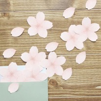 Cherry Blossom Sticky Notes
