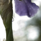 Single_drop8x12_small