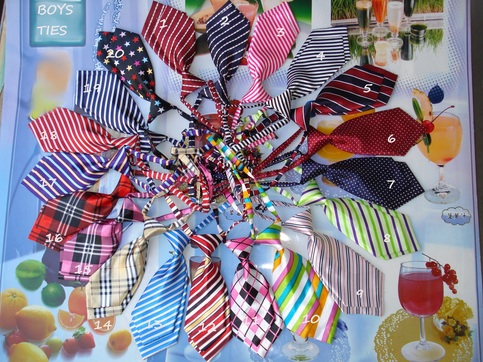 Boys Ties Dress up or casual Baby to Toddler Size 8 inches in length adjustable neck tie FOR GIRLS STYLES TOO