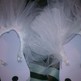 Imag0326_small