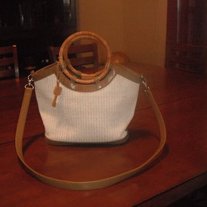 Fossil1_medium