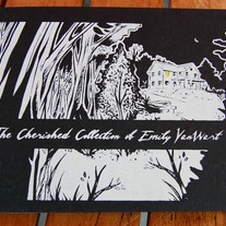 Emily VanWart - mini comic