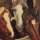 Dscf0207_small