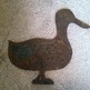 Duck2_small
