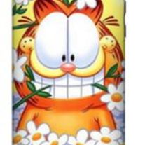 Hard Case Cover for Apple iphone 3G/S, Garfield Cat #1 !!!