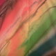 CBD Women's Rainbow Chalk Cotton Shopper Bag. - Thumbnail 1