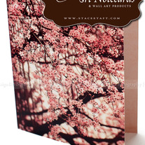 Cherryblossoms-2012_medium
