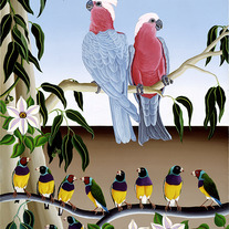 Pink_20cockatoos_medium