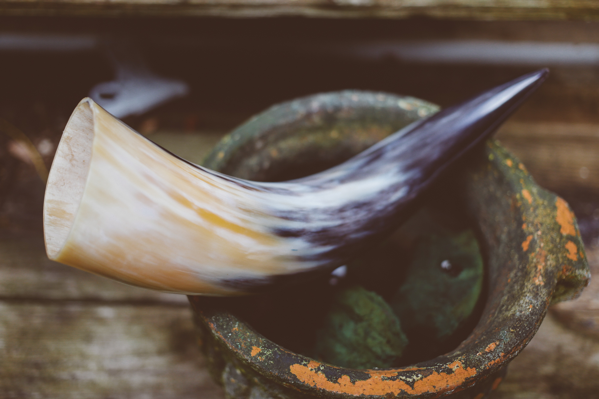 Drinking Horn on Storenvy