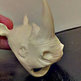 Rhino1_small