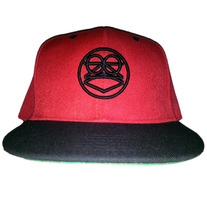 TLAA - 1 YEAR ANNIVERSARY CHI SNAPBACK
