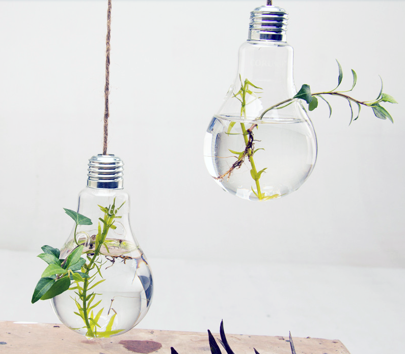 Hanging Light Bulb Planters on Storenvy