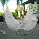 Dscn0531_small