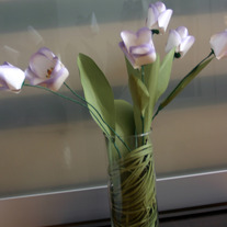 Purple_20kissed_20tulip_20in_20v_20w_20bear_20grass_202_medium