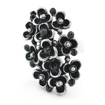 221_ring-blackkit01j-box02_medium