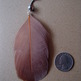 010_small