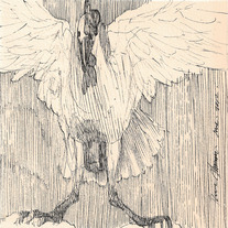 Drawing 0831