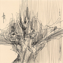 Drawing 0813