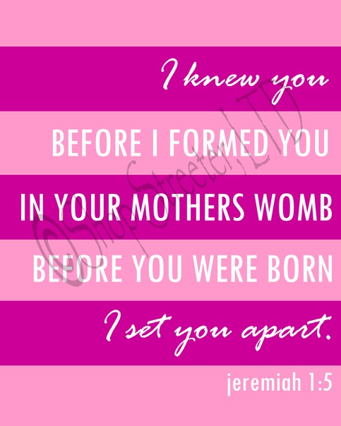 Jeremiah 1:5 Print - Pink