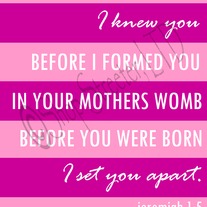 Jeremiah 1:5 Print - Pink