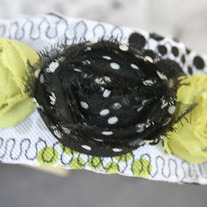 Lime Yours Lite