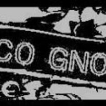 Lcognsisgrey