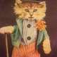 Cat1