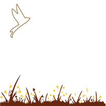 Brown-bird-corner-grass