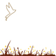Brown-bird-corner-grass