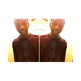 Luu_569