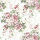 Bg_whiteflorals_1_by_inspyretash_stock-d4az39k