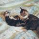 Cat_beasts_1